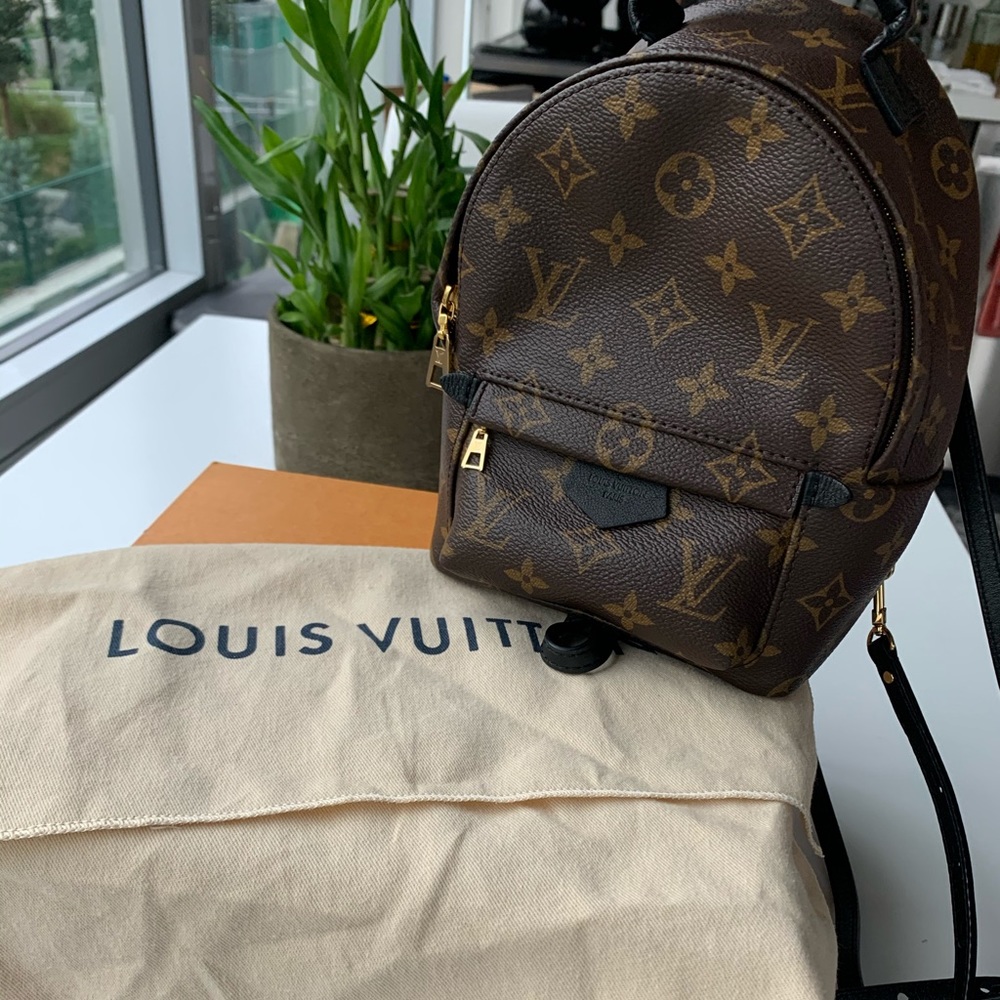 Louis Vuitton Palm Springs Monogram Mini Brown Bag